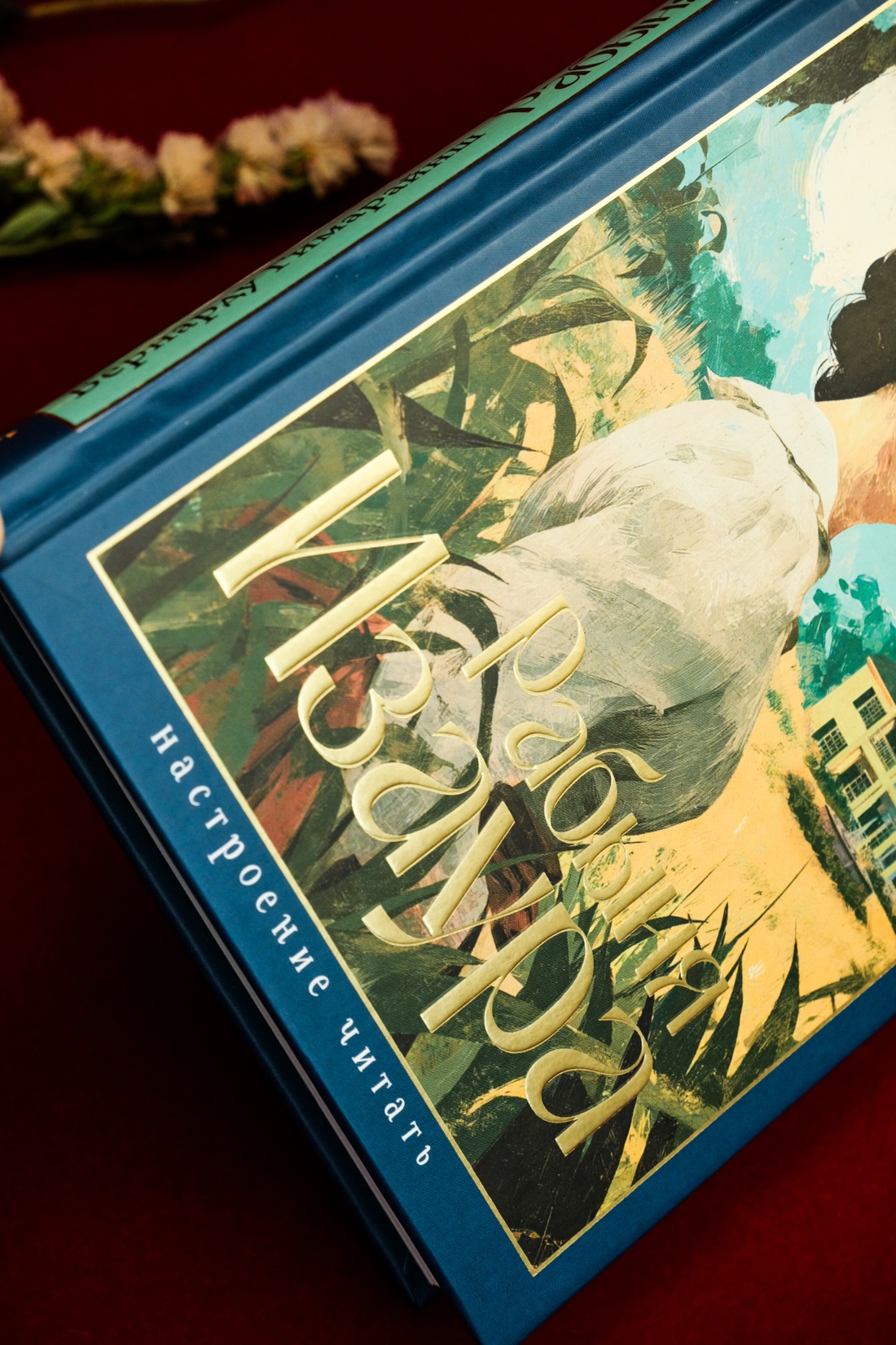 Промо материал к книге "Рабыня Изаура" №11