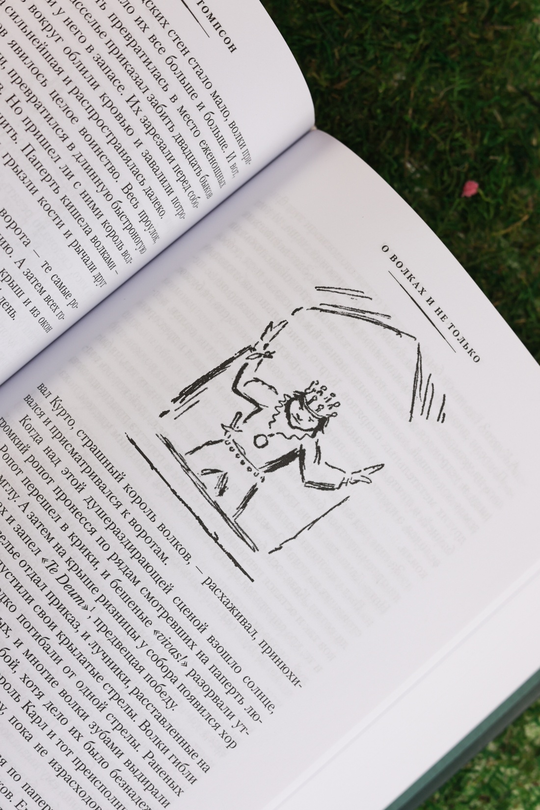 Промо материал к книге "Рольф в лесах. Лесные рассказы" №7