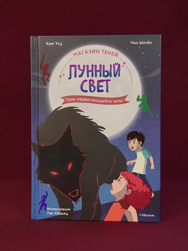 Промо материал к книге "Магазин теней «Лунный свет». Книга 4. Тень надвигающейся тьмы" №5