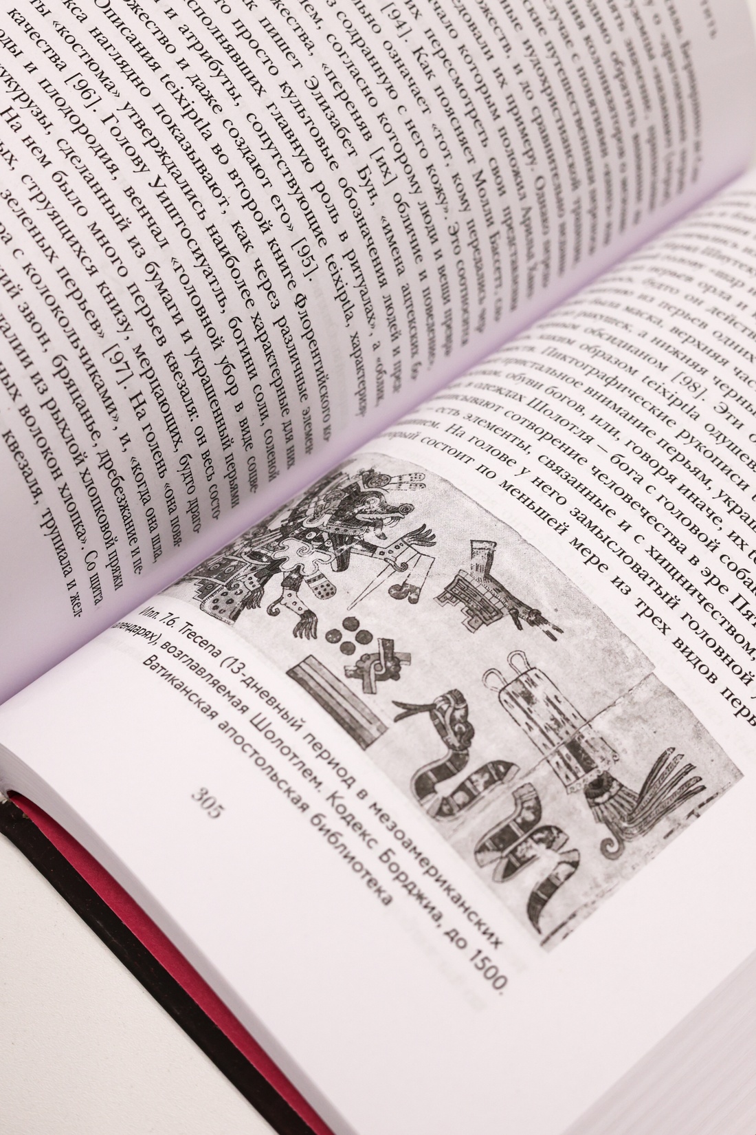 Промо материал к книге "Приручить и укротить: Животные и человек после открытия Нового Света" №9
