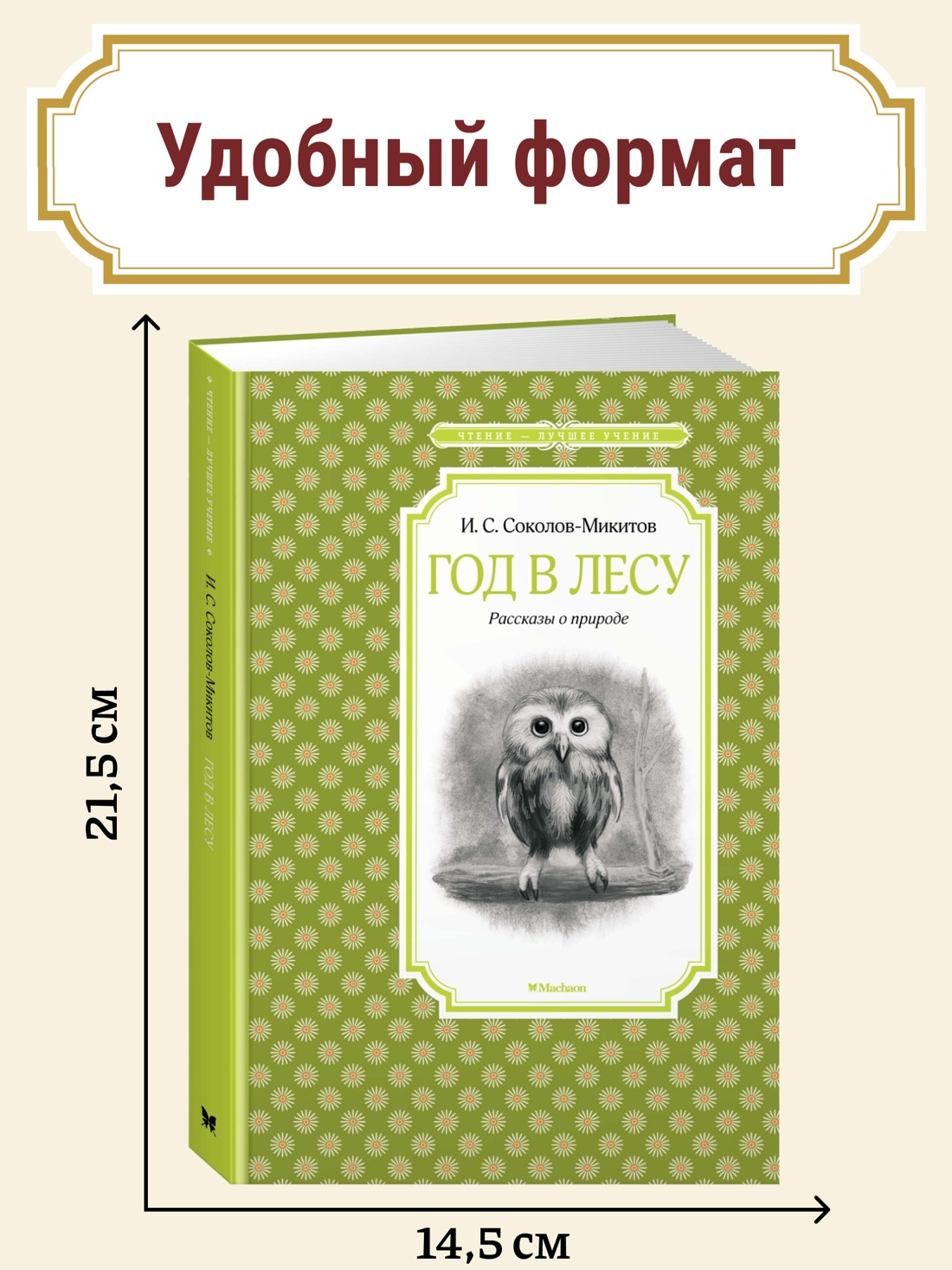 Промо материал к книге "Год в лесу" №0