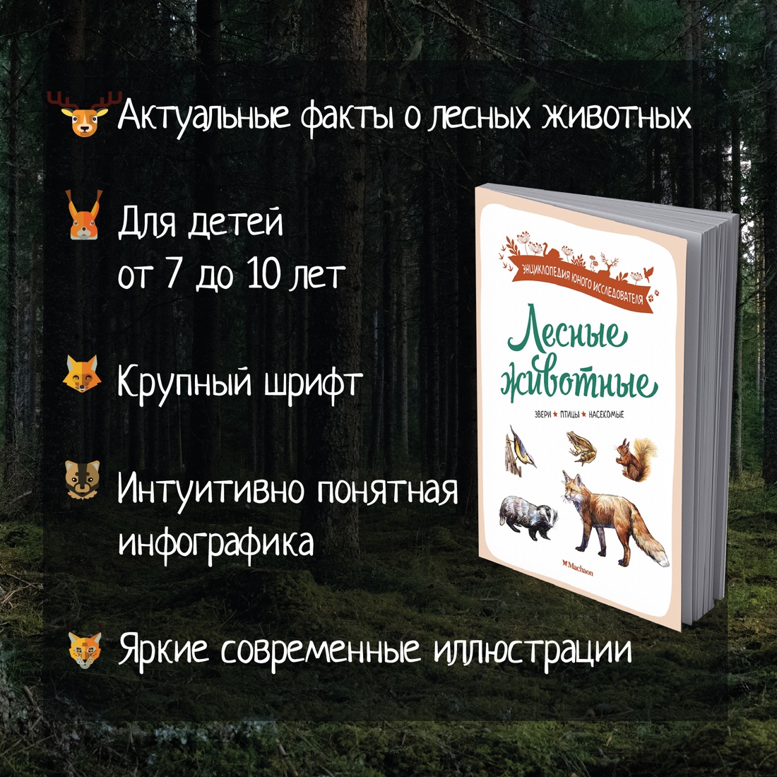 Промо материал к книге "Лесные животные" №1