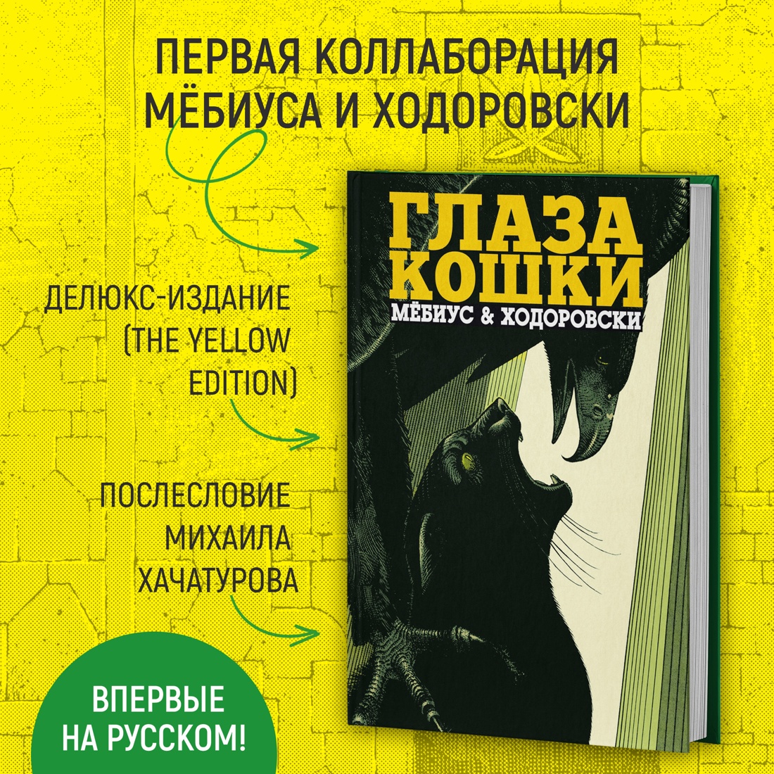 Промо материал к книге "Глаза кошки" №1