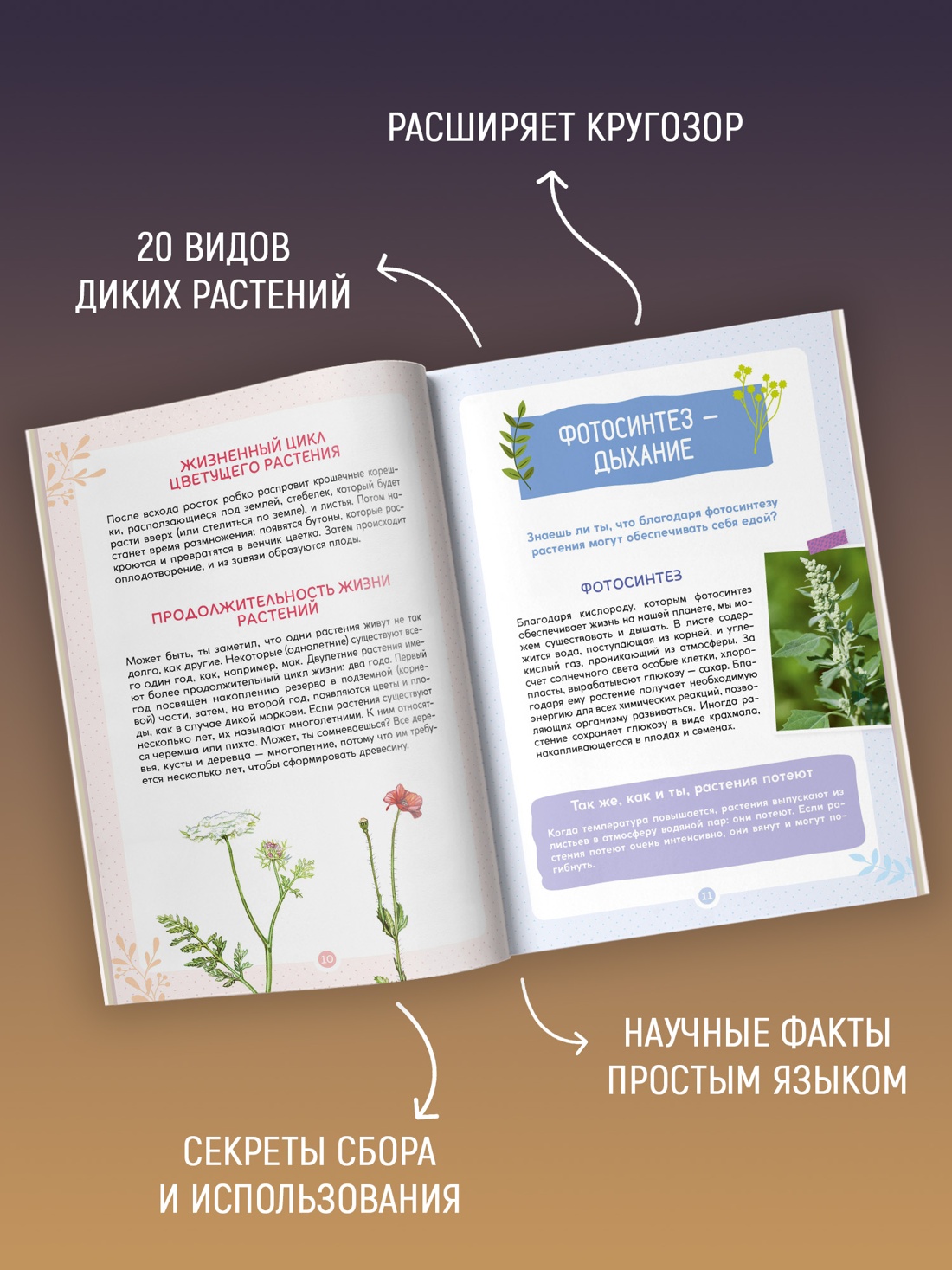 Промо материал к книге "Растения вокруг нас" №1