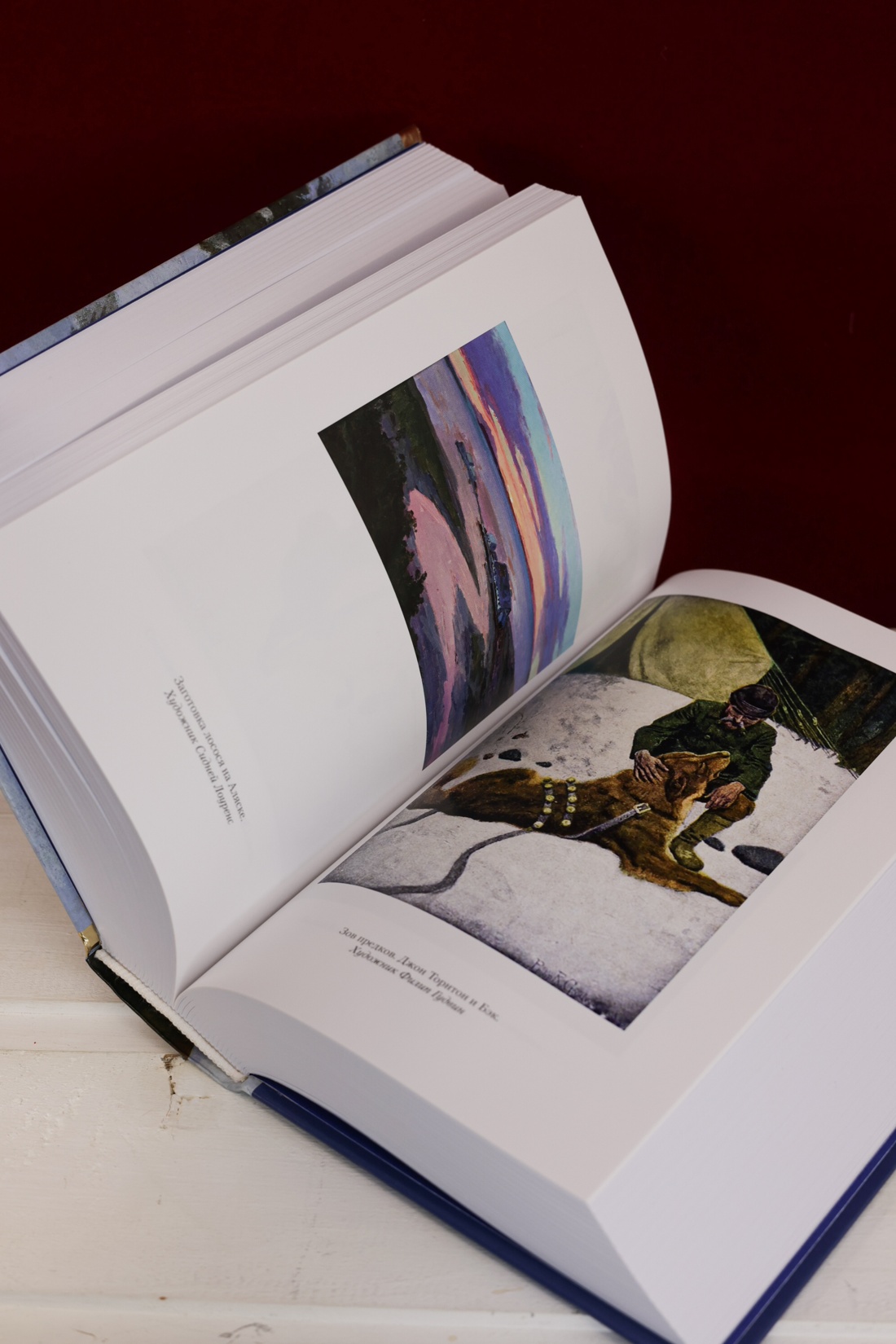 Промо материал к книге "Зов предков. Белый Клык. Сказания о Дальнем Севере" №11