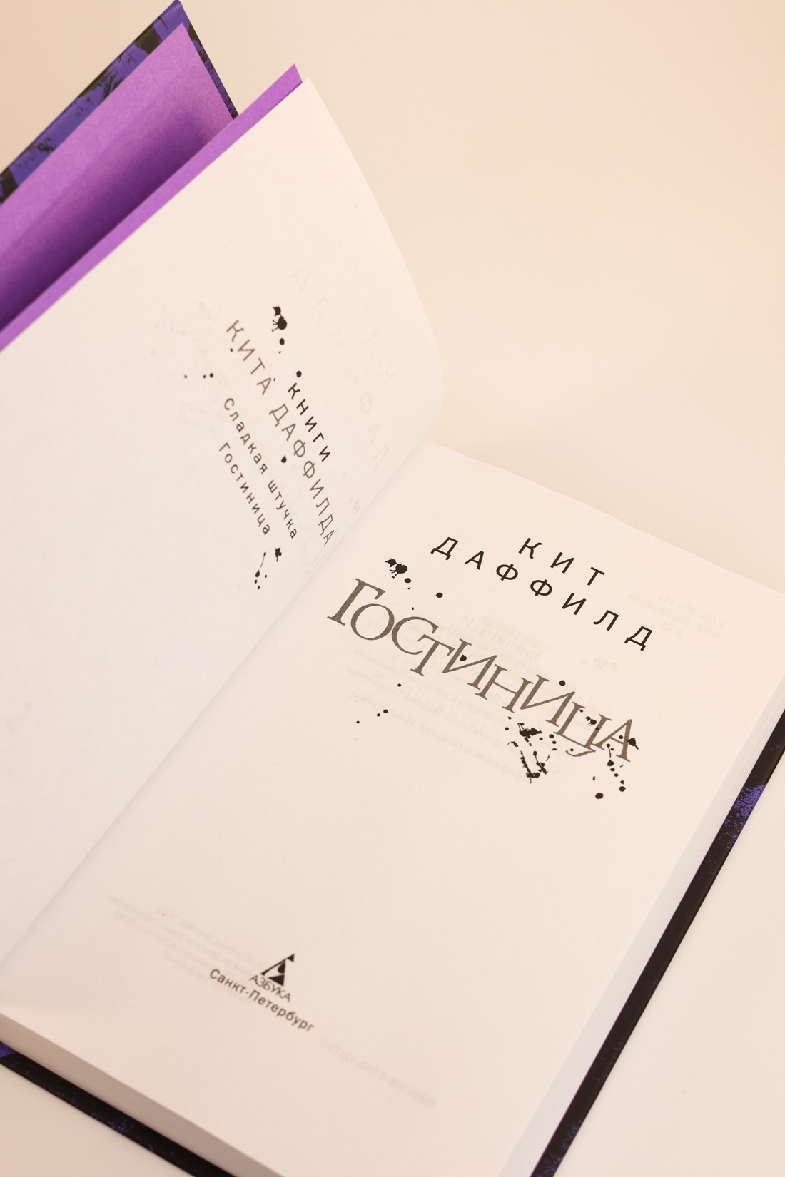 Промо материал к книге "Гостиница" №5