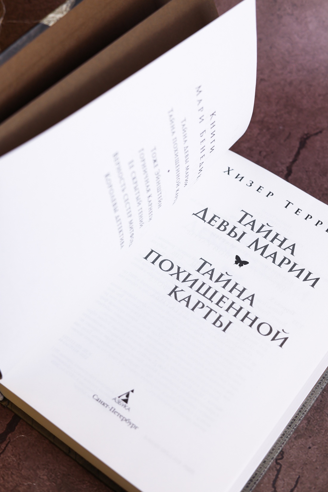 Промо материал к книге "Тайна Девы Марии.Тайна похищенной карты" №8