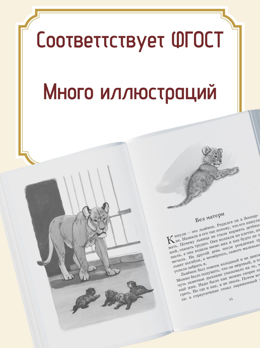 Промо материал к книге "Фомка - белый медвежонок" №1