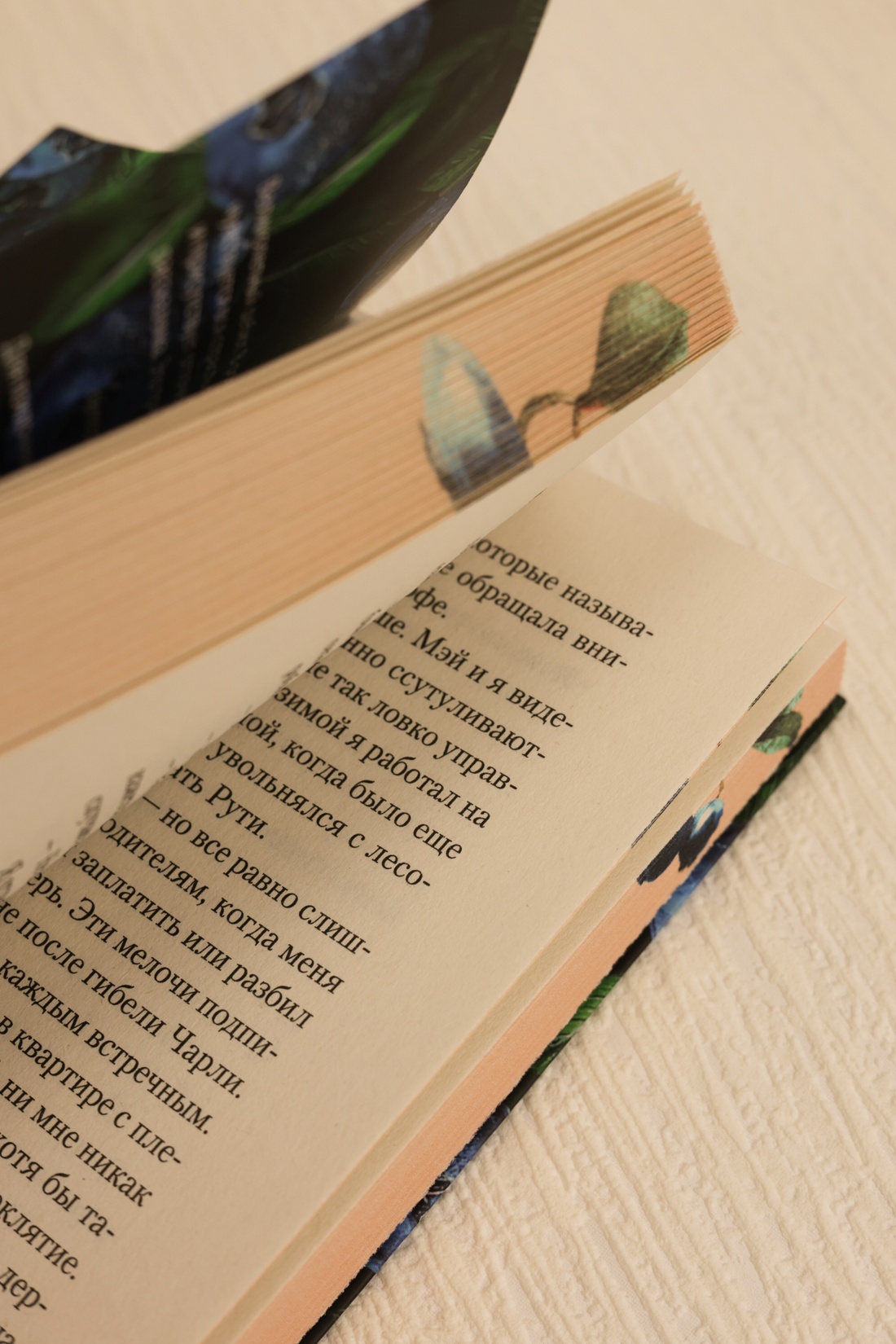 Промо материал к книге "Сборщики ягод" №11