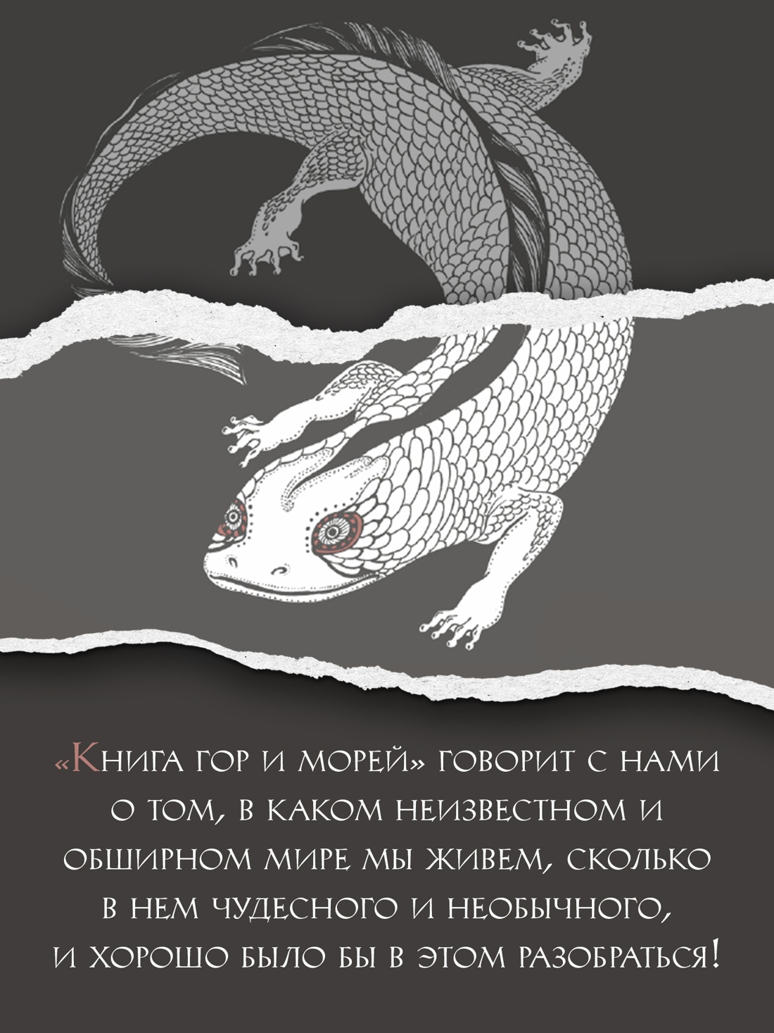 Промо материал к книге "Книга гор и морей. Бестиарий Древнего Китая." №7