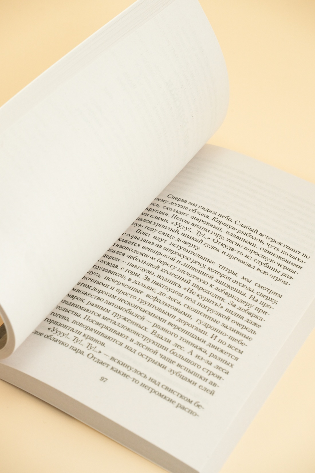 Промо материал к книге "Добро пожаловать, или Посторонним вход воспрещен" №3