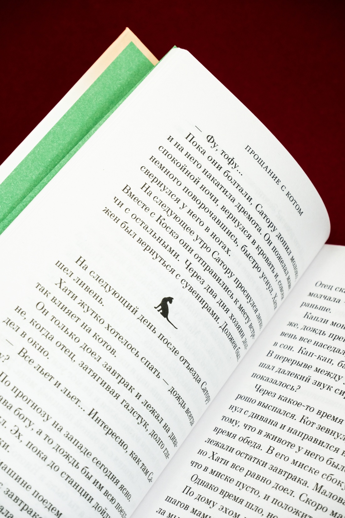 Промо материал к книге "Прощание с котом" №12