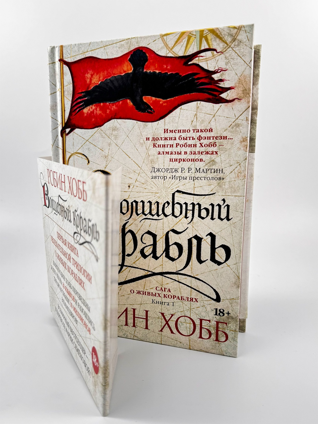 Промо материал к книге "Сага о живых кораблях. Книга 1. Волшебный корабль" №4