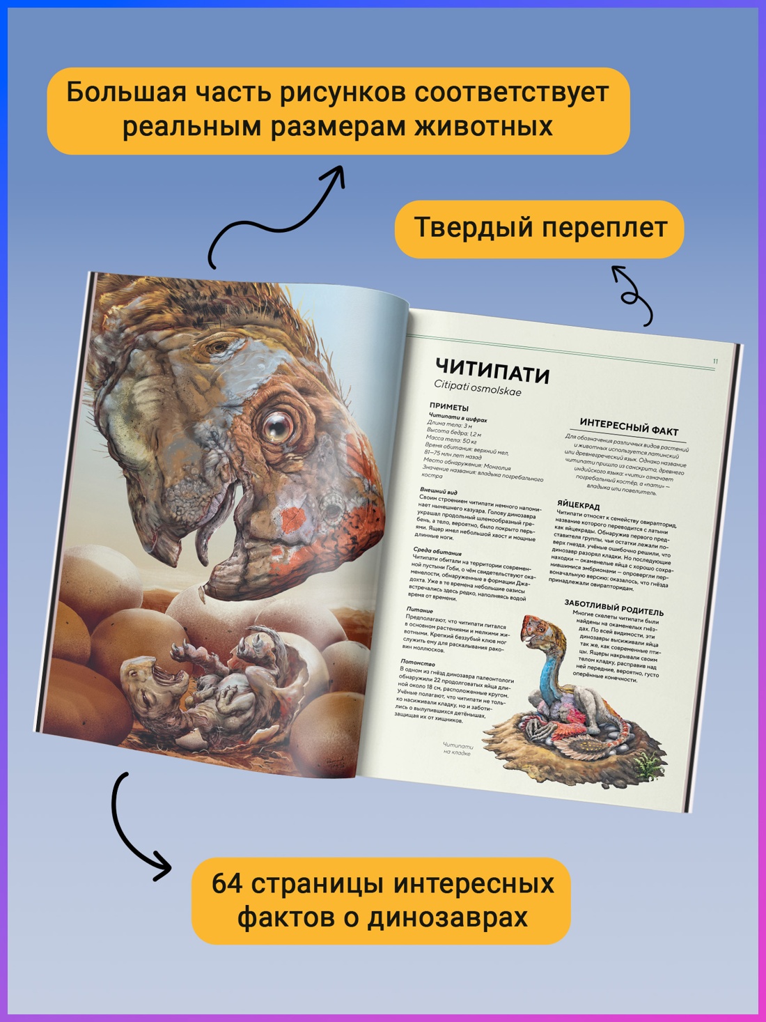 Промо материал к книге "Динозавры в натуральную величину" №2