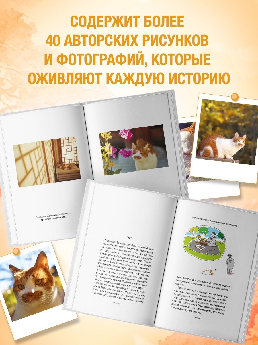 Промо материал к книге "Однажды ко мне пришел кот" №2