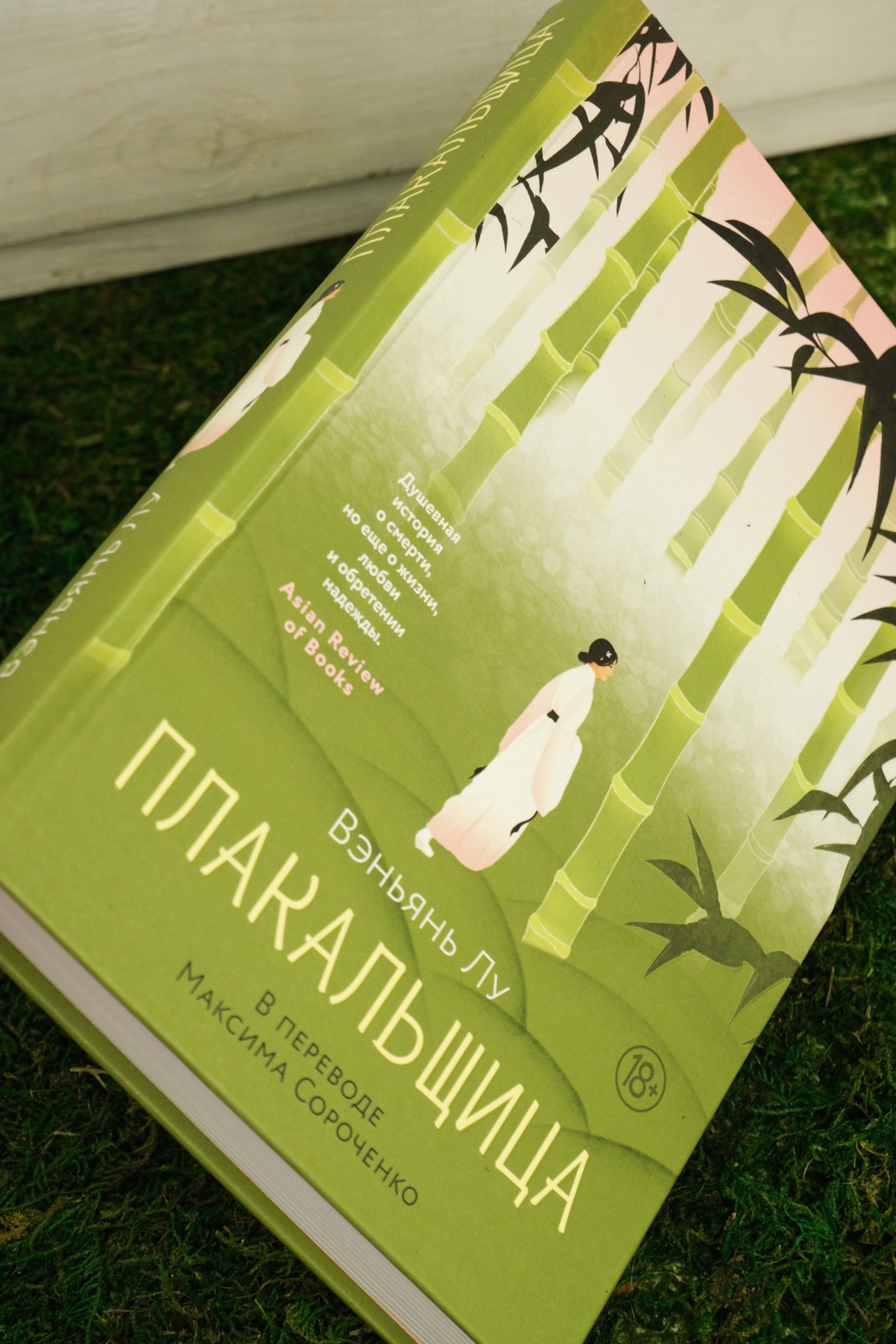 Промо материал к книге "Плакальщица" №4