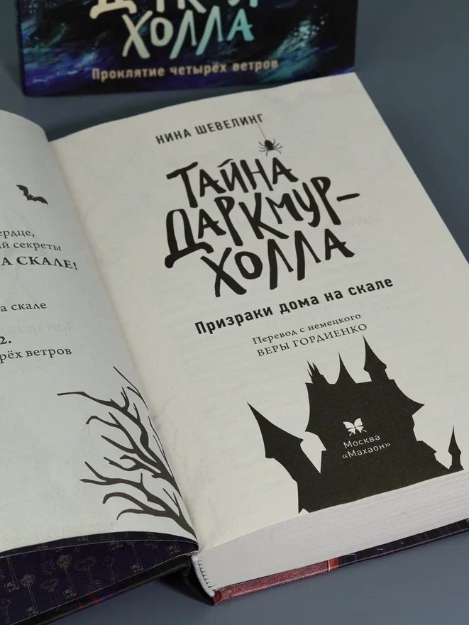 Промо материал к книге "Тайна Даркмур-Холла. Призраки дома на скале" №7