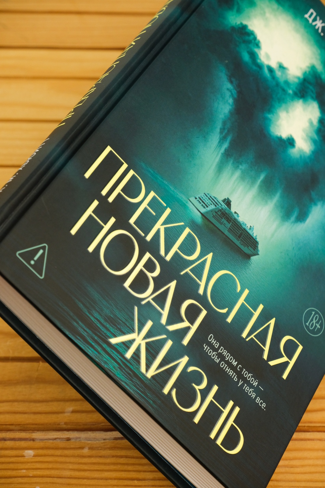 Промо материал к книге "Прекрасная новая жизнь" №4