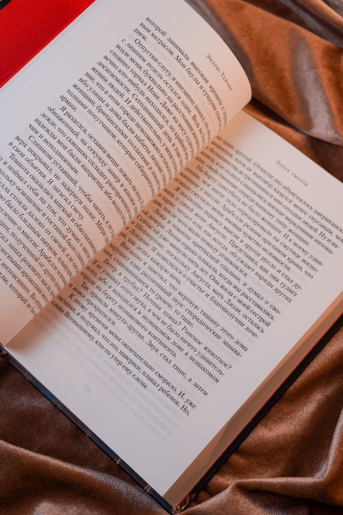 Промо материал к книге "Запах смерти" №11