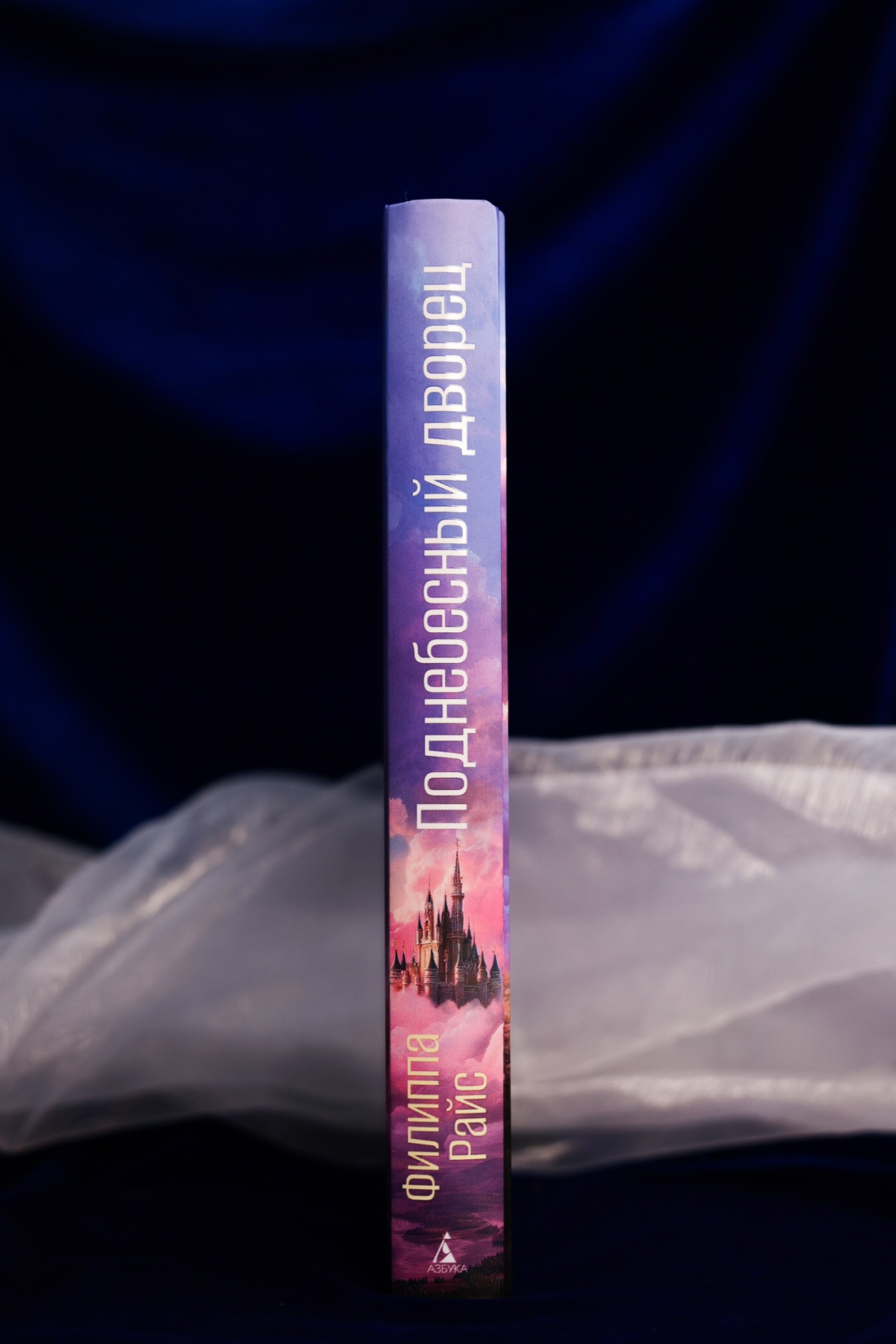 Промо материал к книге "Поднебесный дворец" №6