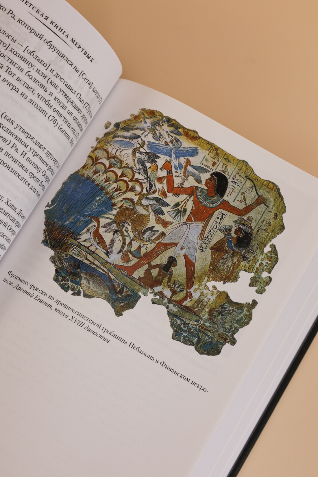 Промо материал к книге "Египетская книга мертвых. Индийская книга мертвых. Тибетская книга мертвых." №11