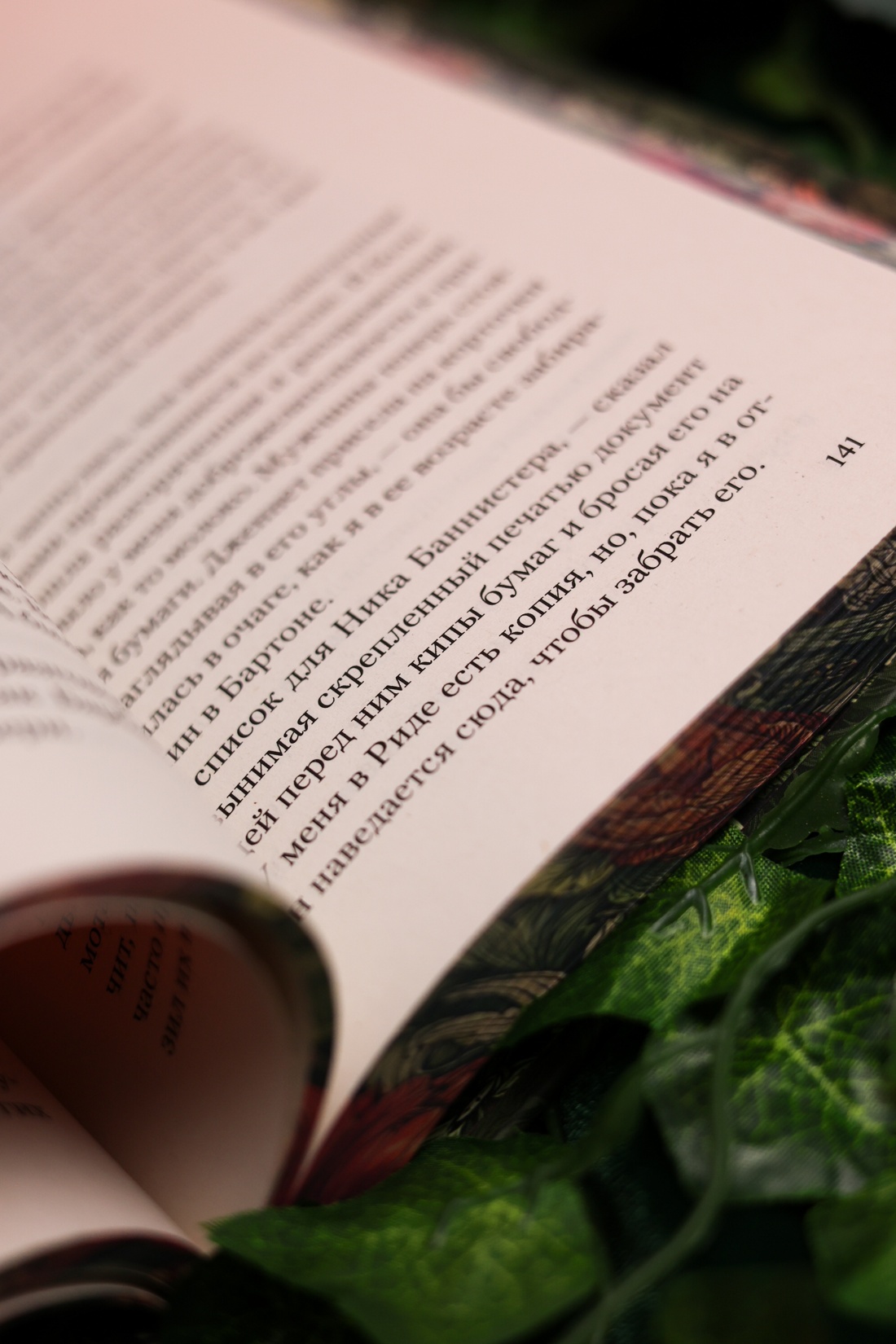 Промо материал к книге "Фамильяры ведьм" №12