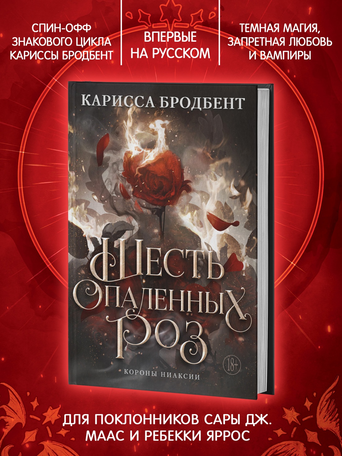 Промо материал к книге "Шесть опаленных роз" №1