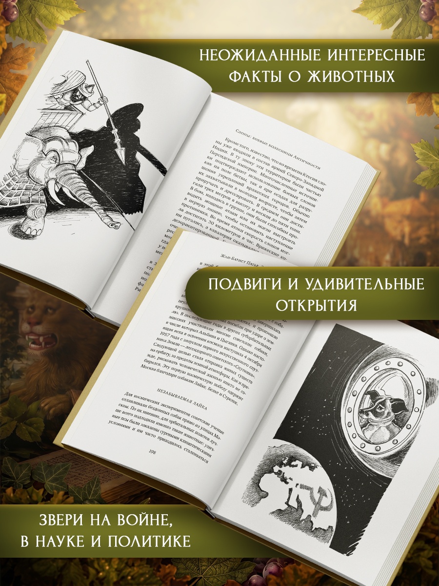 Промо материал к книге "Животные: Герои истории" №1