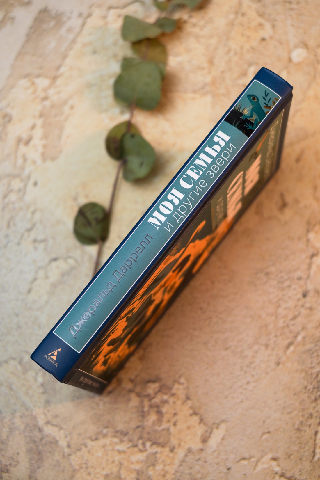 Промо материал к книге "Моя семья и другие звери (Настроение читать)" №7