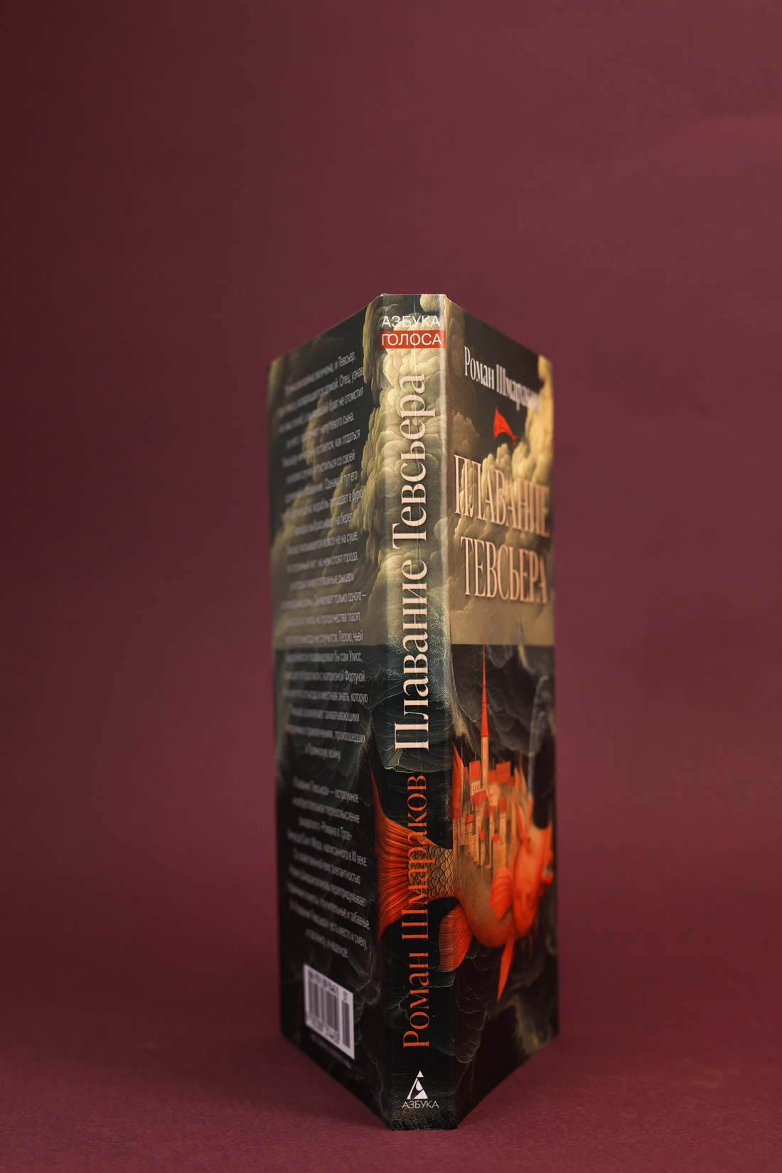 Промо материал к книге "Плавание Тевсьера" №5