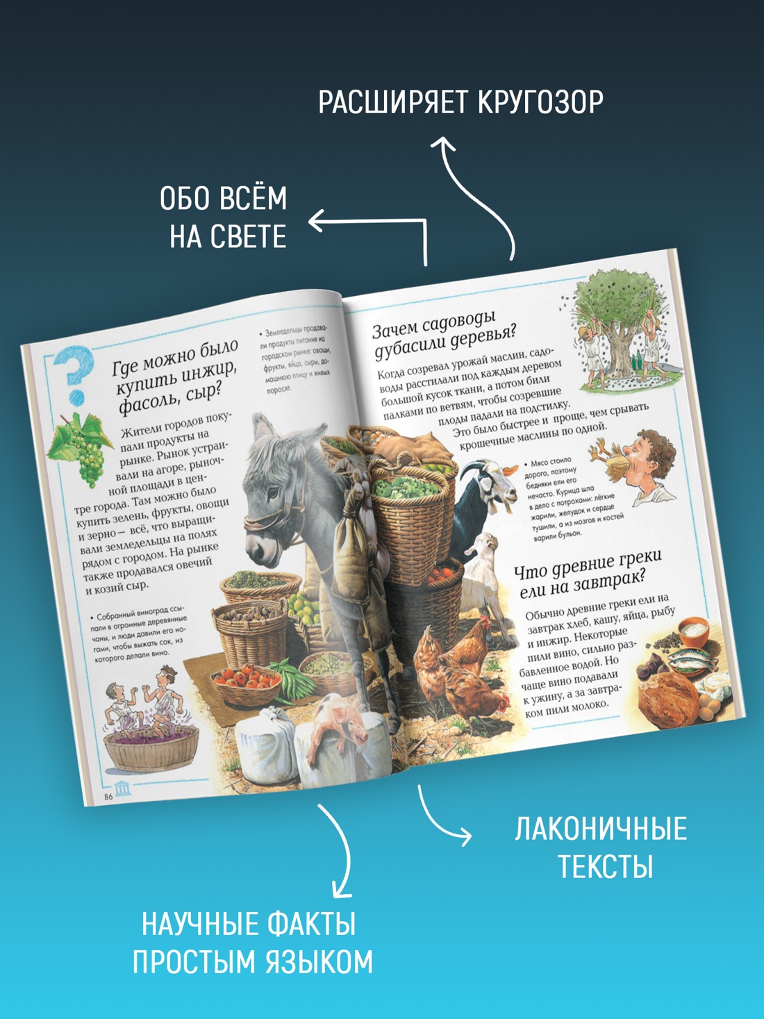 Промо материал к книге "Что, зачем и почему?" №1