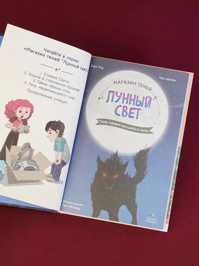 Промо материал к книге "Магазин теней «Лунный свет». Книга 4. Тень надвигающейся тьмы" №6