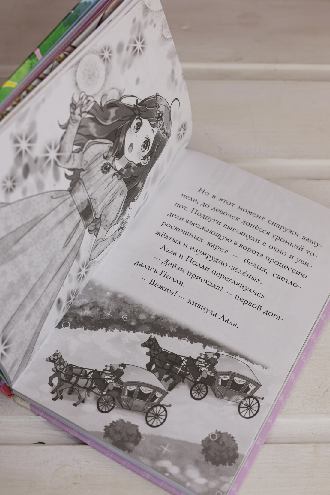 Промо материал к книге "Модные лапки" №12