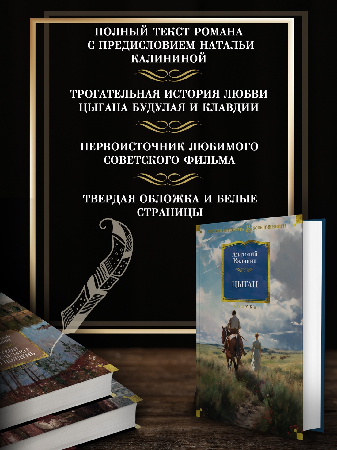 Промо материал к книге "Цыган" №1