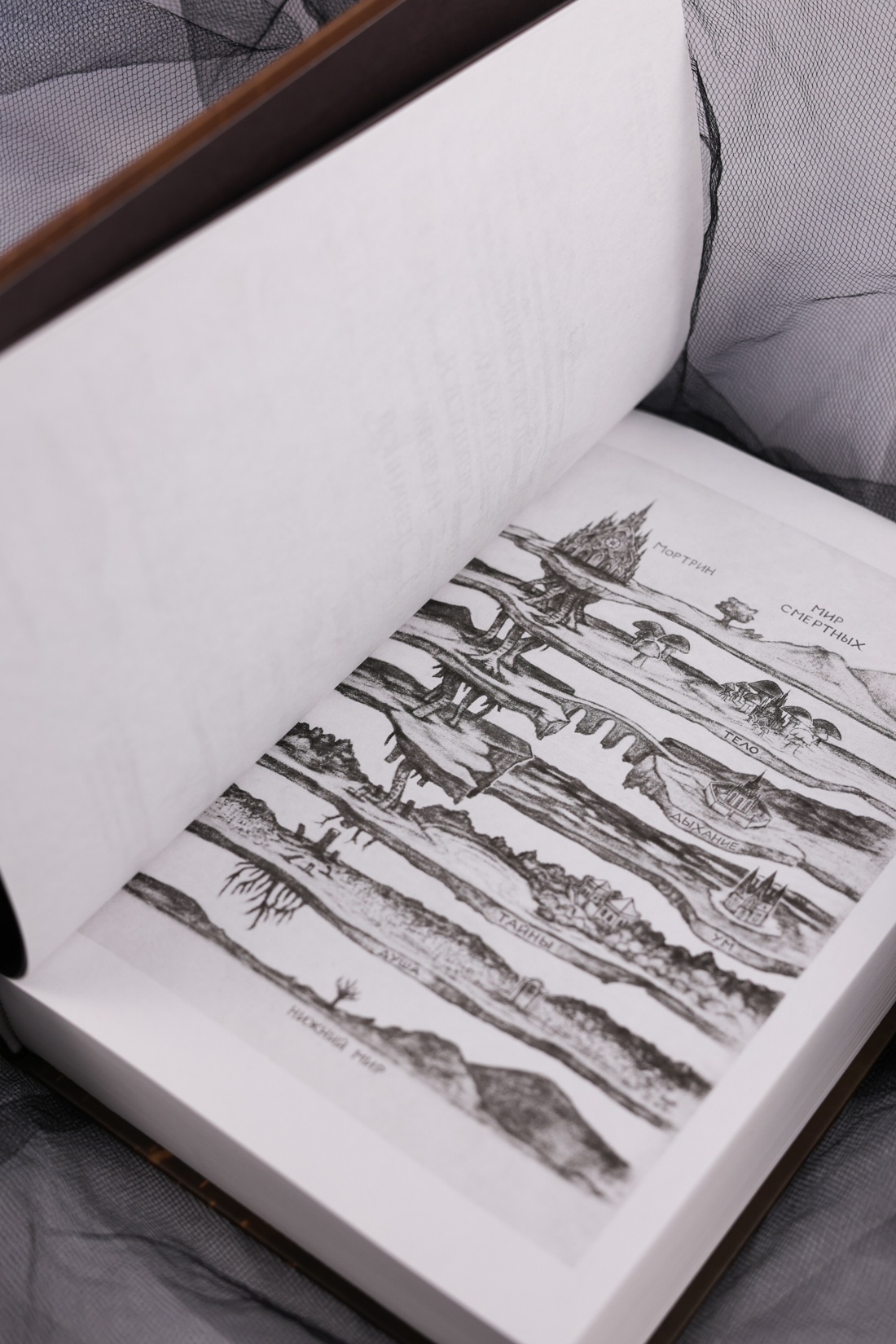 Промо материал к книге "Короны Ниаксии. Певчая птица и каменное сердце. Книга первая из дилогии о тенерожденных" №10