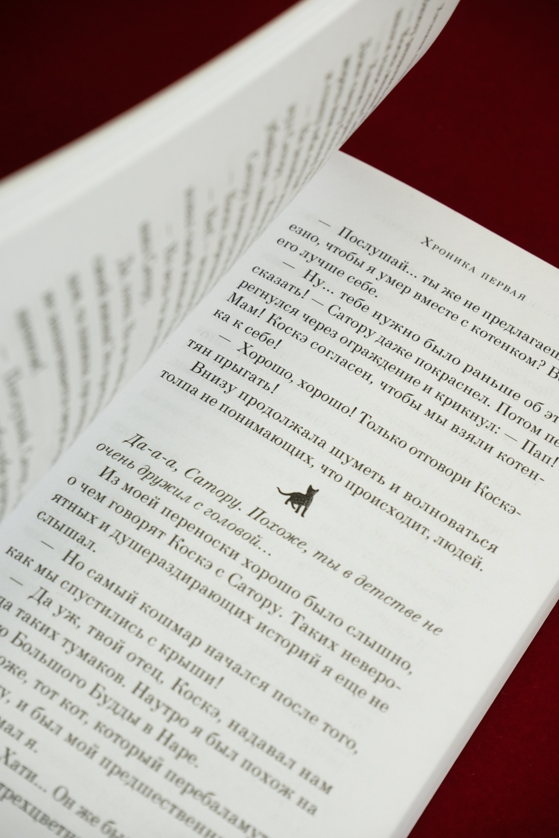 Промо материал к книге "Хроники странствующего кота" №12