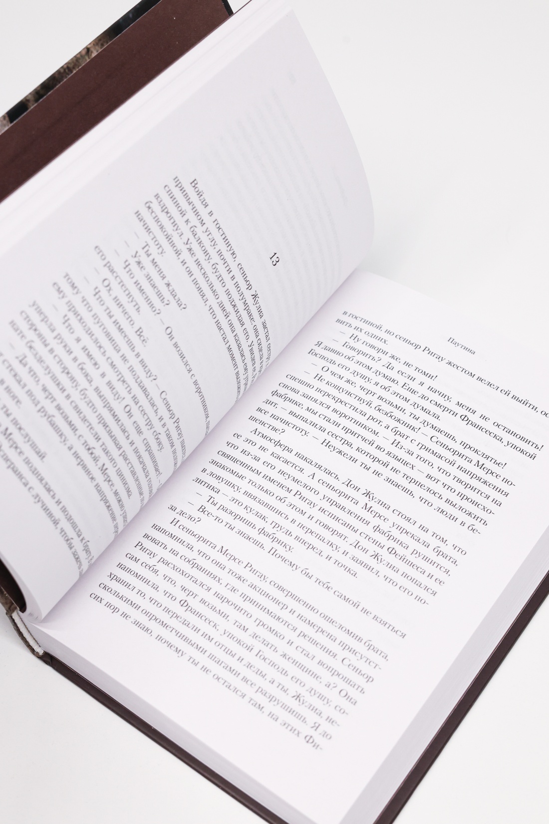 Промо материал к книге "Книга Фейшеса" №8