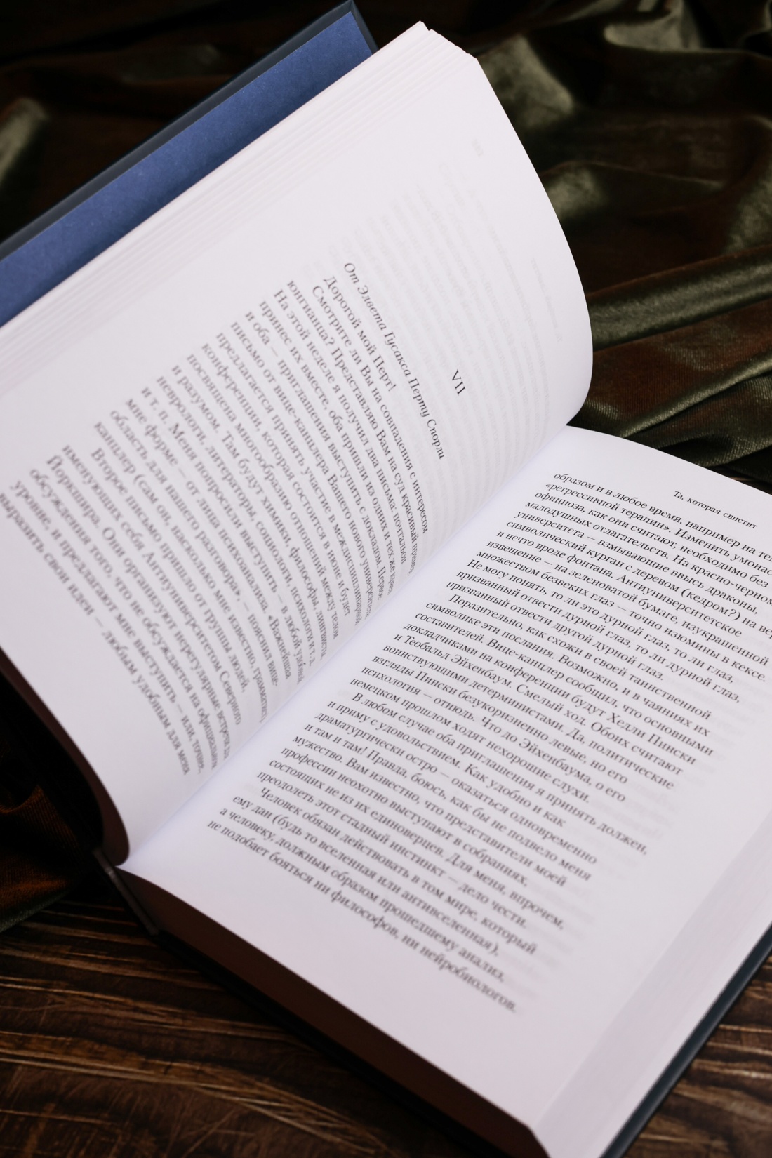 Промо материал к книге "Та, которая свистит" №16