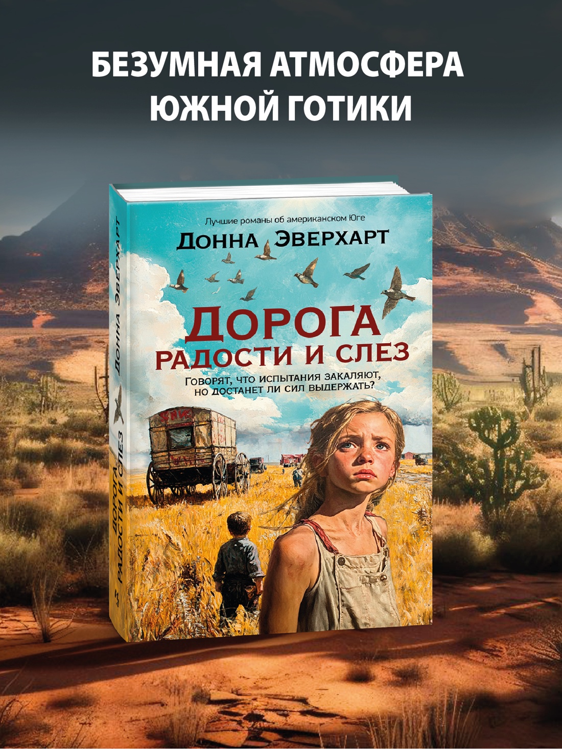 Промо материал к книге "Дорога радости и слез" №0