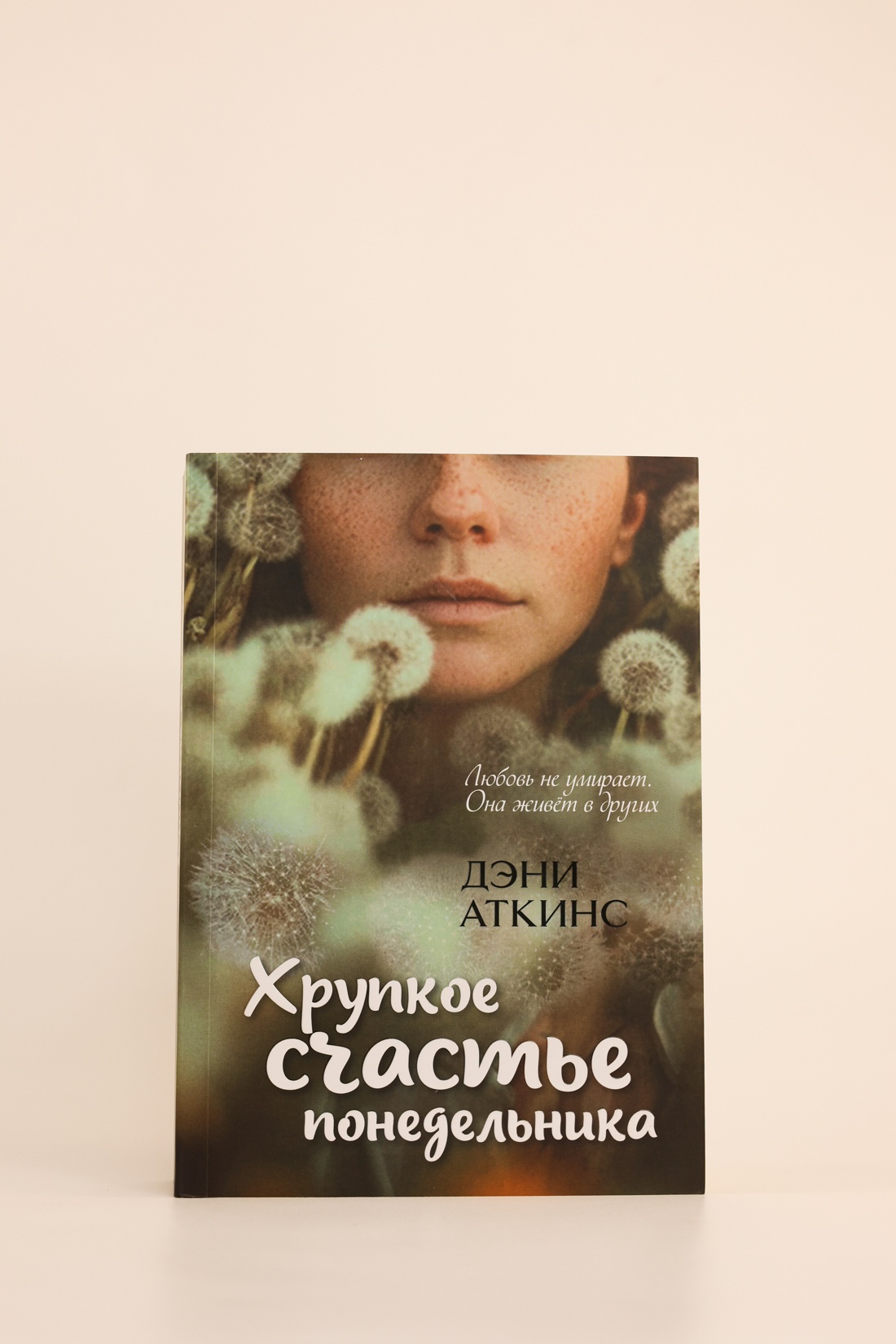 Промо материал к книге "Хрупкое счастье понедельника" №6