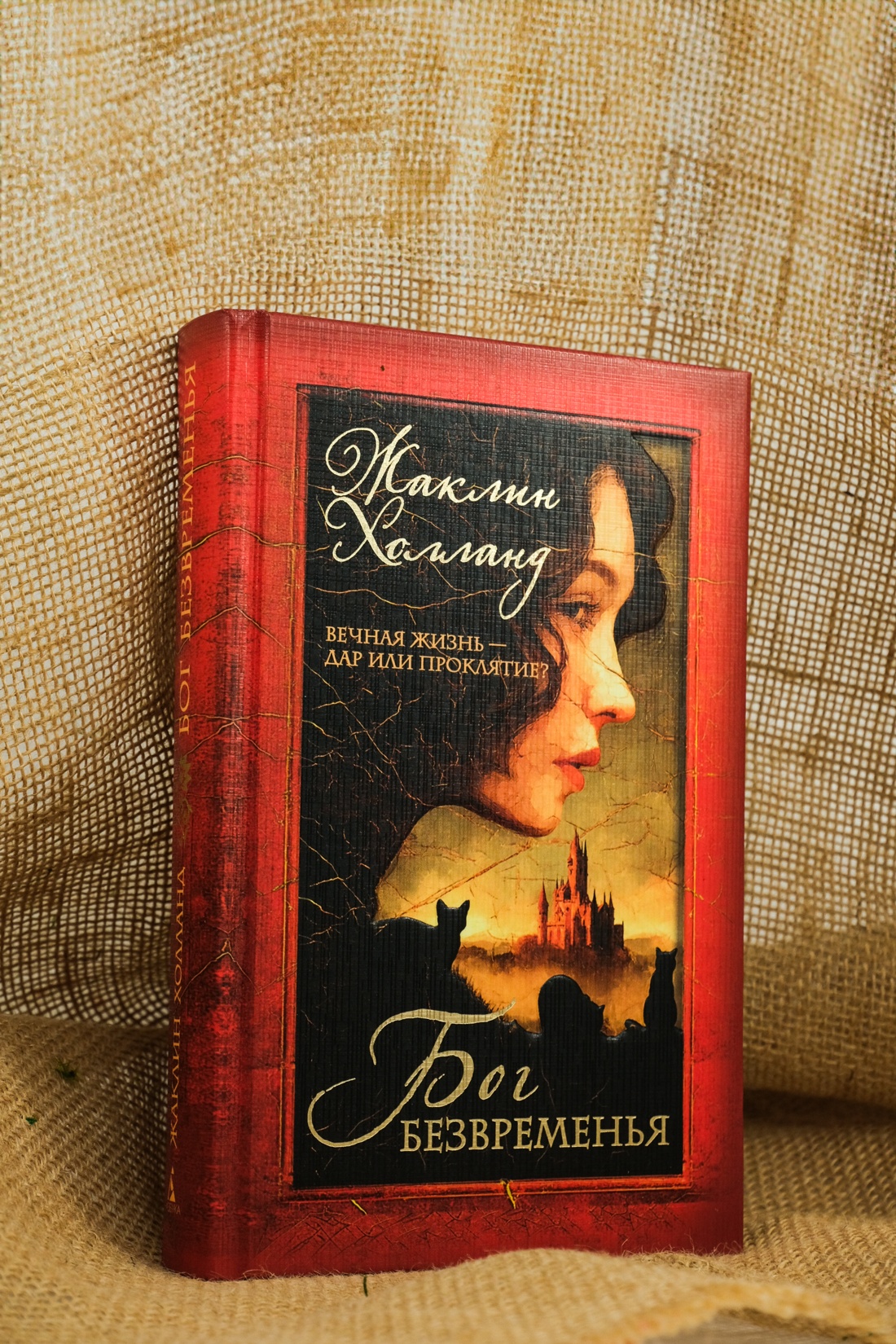 Промо материал к книге "Бог безвременья" №3