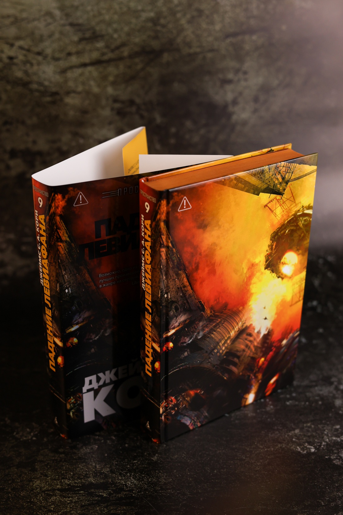 Промо материал к книге "Пространство. Книга 9. Падение Левиафана" №6