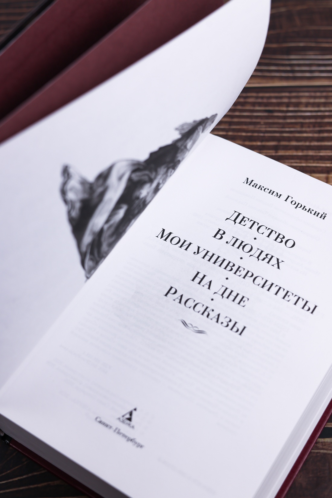 Промо материал к книге "Детство. В людях. Мои университеты. На дне. Рассказы" №7