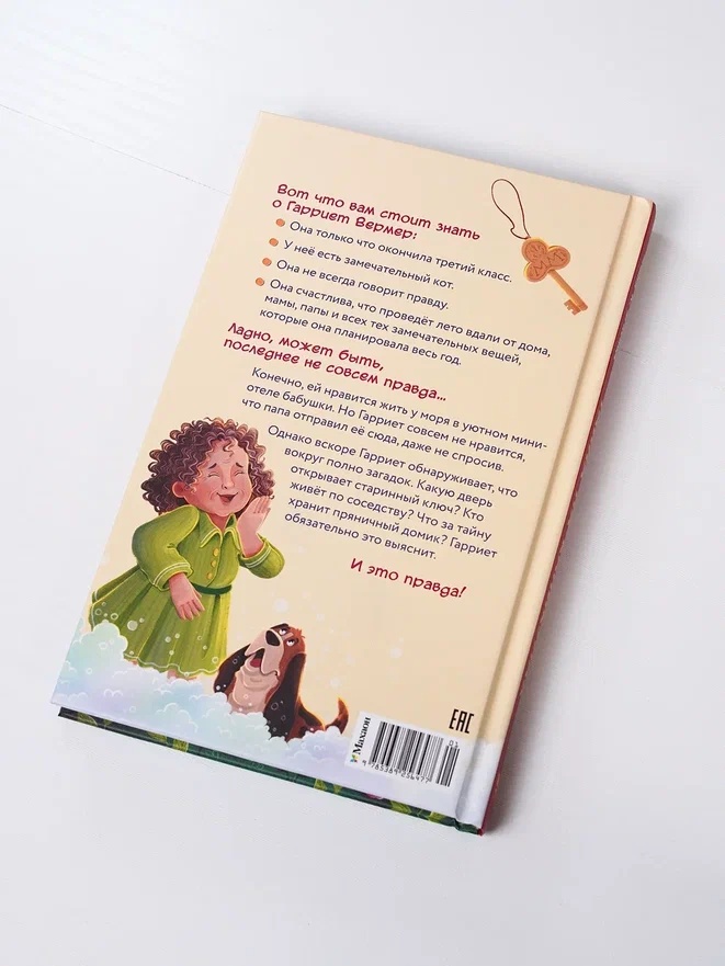 Промо материал к книге "Тайна на каникулах" №12