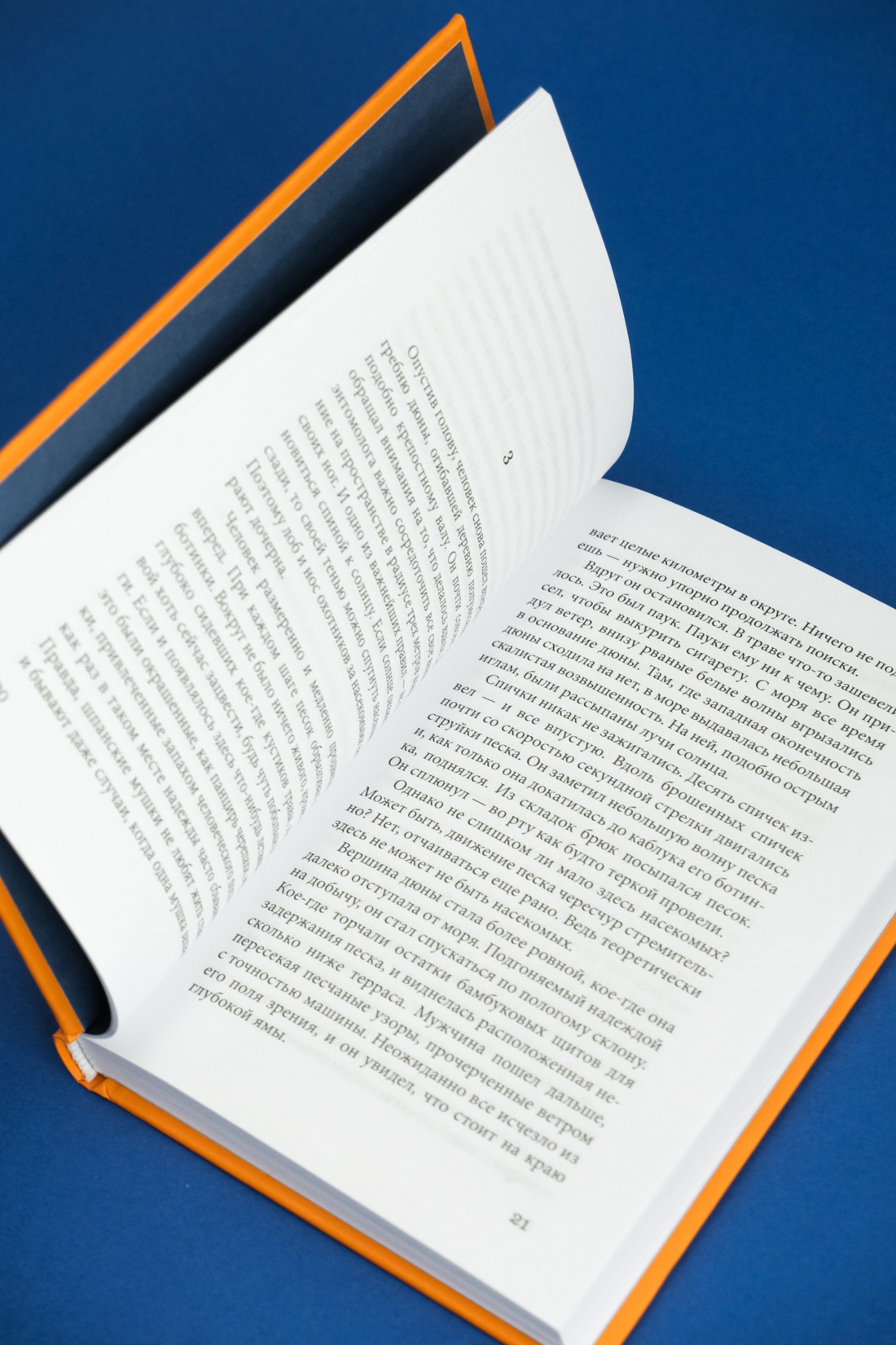 Промо материал к книге "Женщина в песках" №5