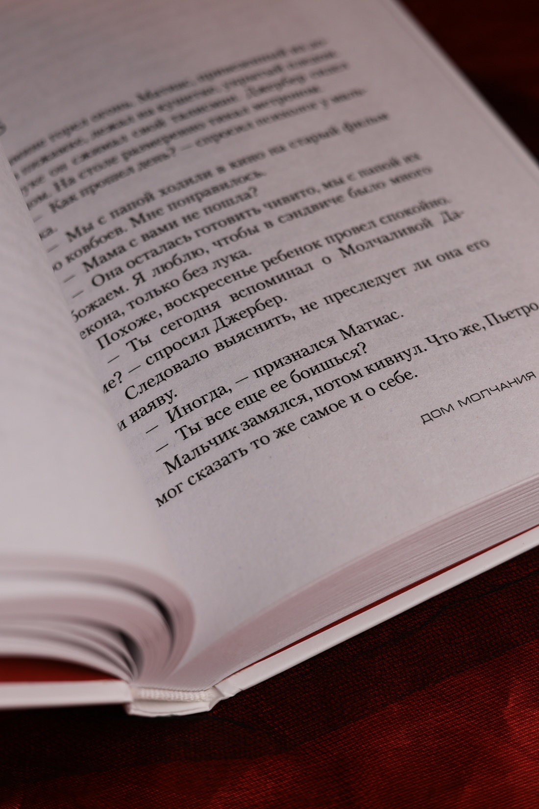 Промо материал к книге "Дом молчания" №11