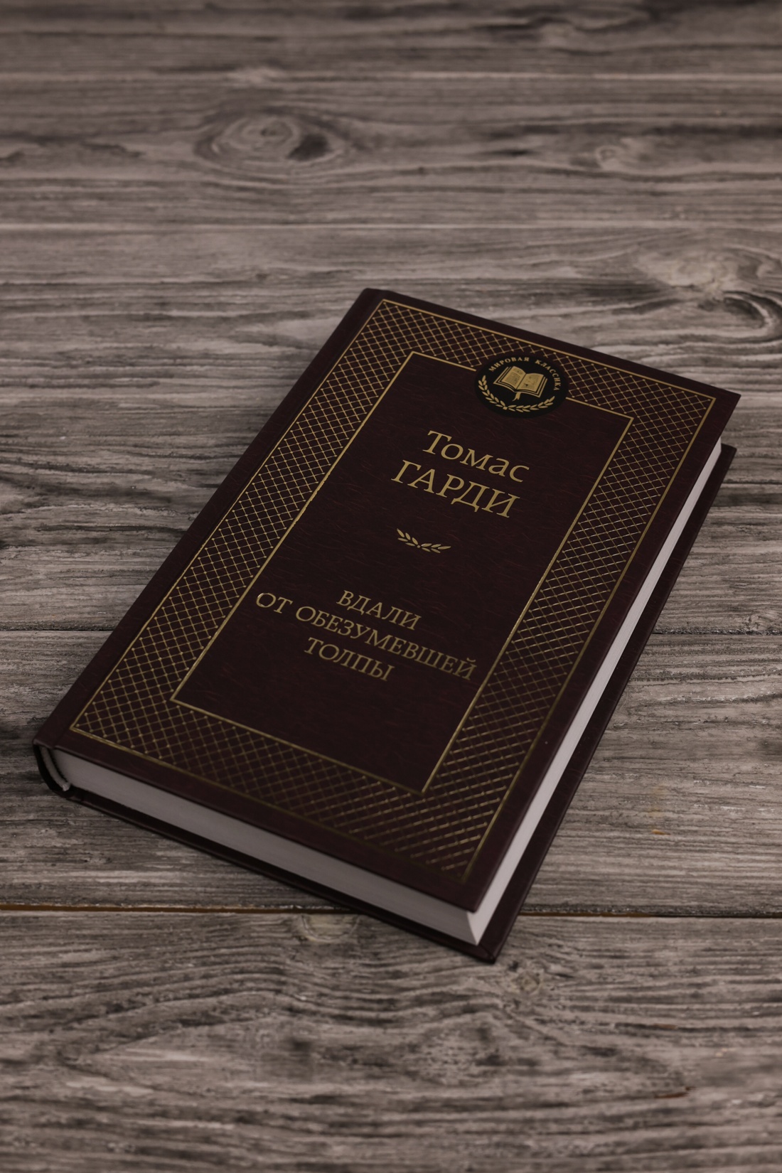 Промо материал к книге "Вдали от обезумевшей толпы (твердый)" №3