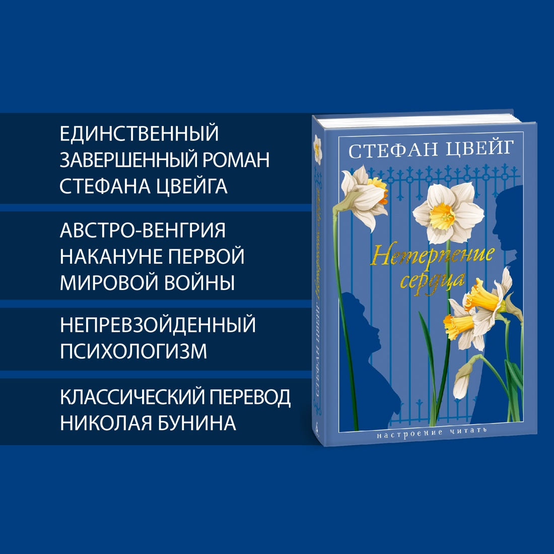 Промо материал к книге "Нетерпение сердца" №1