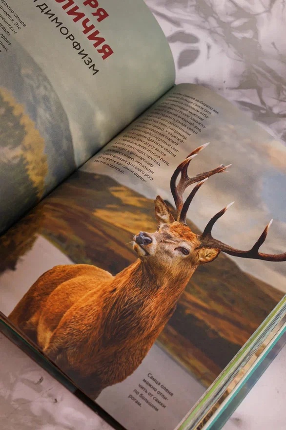 Промо материал к книге "Огромная энциклопедия животных мира" №12