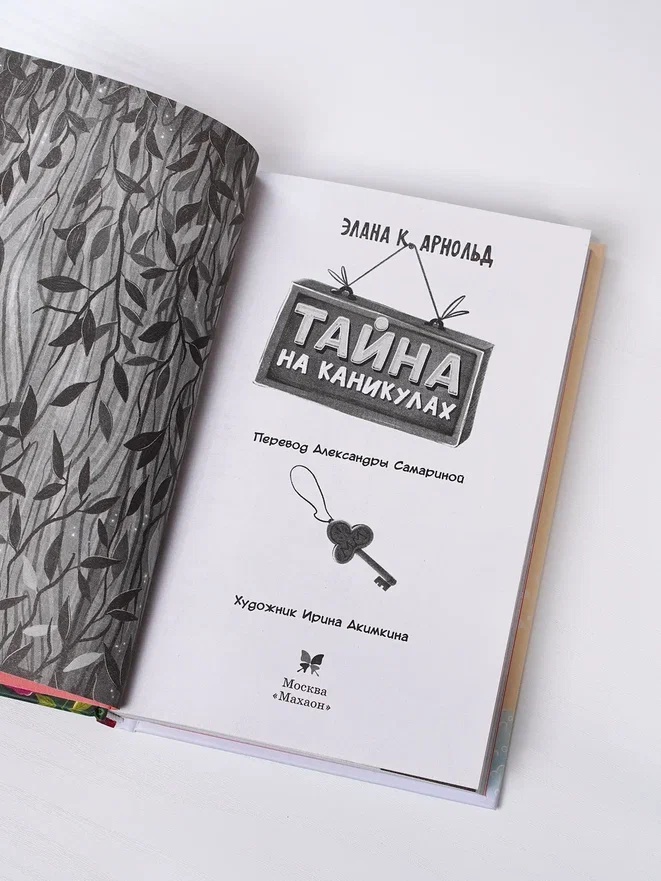 Промо материал к книге "Тайна на каникулах" №5